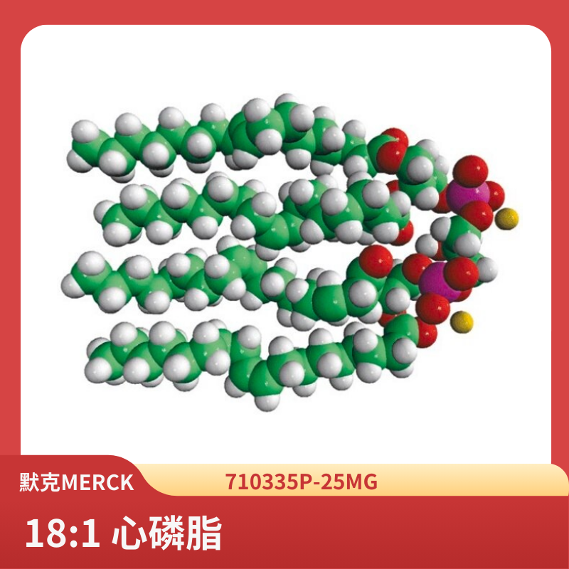 18:1 心磷脂